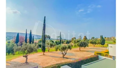 Detached villa in Algorfa photo 20