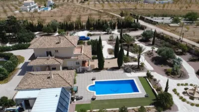 Chalet in El Pinós - Pinoso photo 13
