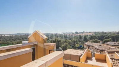 Apartment in Algorfa photo 15