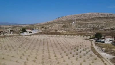 Rustic Finca in Torre del Rico photo 32