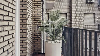 Apartment in Ibiza photo 29