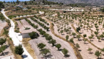 Villa in El Pinós - Pinoso photo 5