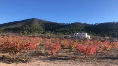Chalet in El Pinós - Pinoso photo 9