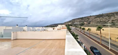 House in Algorfa photo 41
