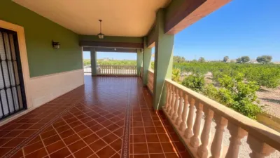Casa – Daya Nueva - Vista 5