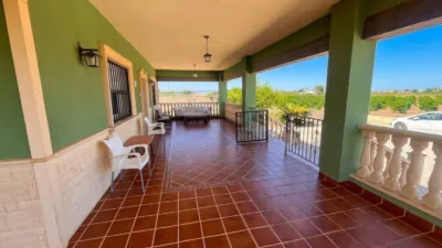 Casa – Daya Nueva - Vista 3