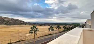 House in Algorfa photo 40