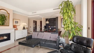 Penthouse in La Mairena photo 3