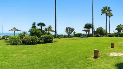 Apartamento en Bel-Air-Cancelada-Saladillo photo 4