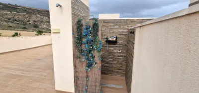 House in Algorfa photo 39