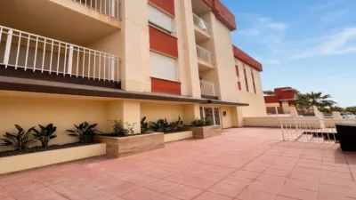 Pis – Orihuela, Villa Martín - Vista 5