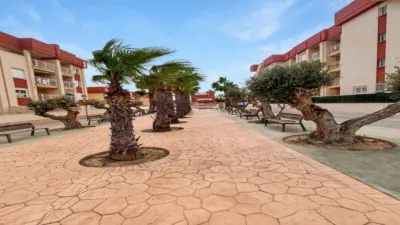 Pis – Orihuela, Villa Martín - Més