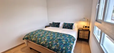House in Algorfa photo 24