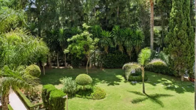 Apartamento en Bel-Air-Cancelada-Saladillo photo 22
