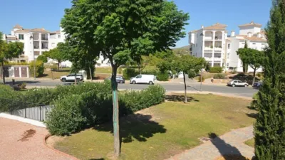 Apartment in Jerónimo and Avilés photo 9