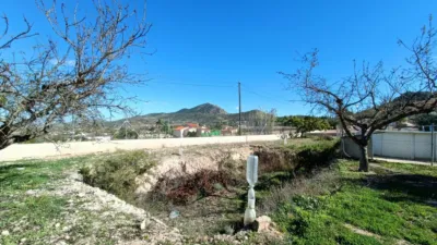 Villa in Hondón de los Frailes photo 30