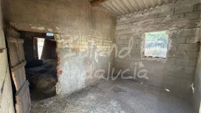 Rustic finca in Mures photo 13