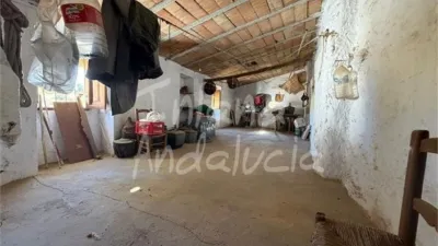 Rustic finca in Mures photo 11