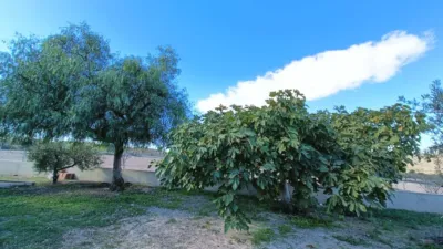 Villa in Hondón de los Frailes photo 7