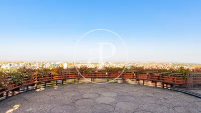 Apartment in Prosperidad photo 37