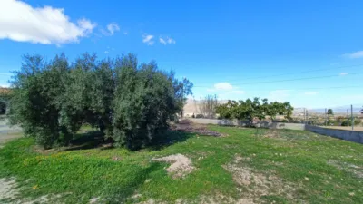 Villa in Hondón de los Frailes photo 31