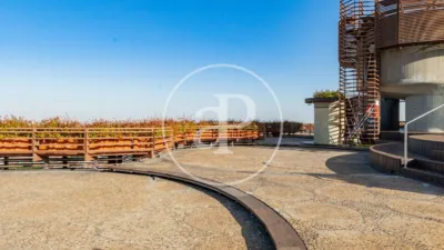 Apartment in Prosperidad photo 35