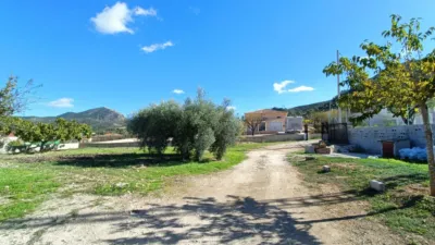 Villa in Hondón de los Frailes photo 11