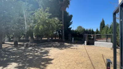Rustic Finca in Elda photo 12