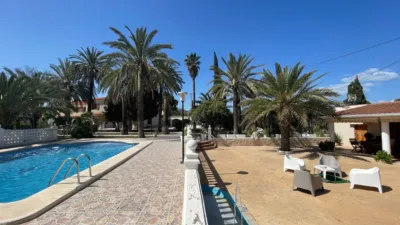 Rustic Finca in Elda photo 31