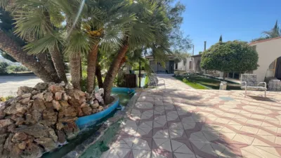 Rustic Finca in Elda photo 21
