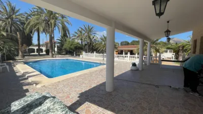 Rustic Finca in Elda photo 3