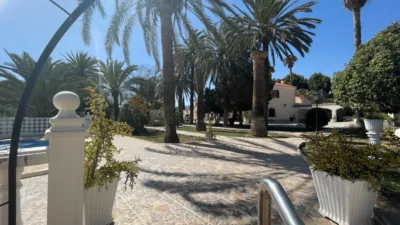 Rustic Finca in Elda photo 39