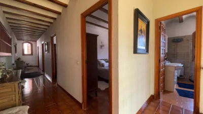 Rustic Finca in Elda photo 49