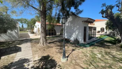 Rustic Finca in Elda photo 24