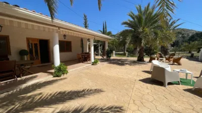 Rustic Finca in Elda photo 33