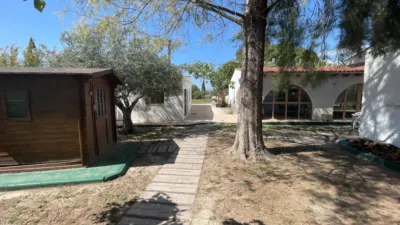 Rustic Finca in Elda photo 23