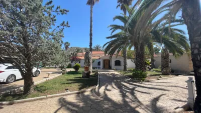Rustic Finca in Elda photo 13