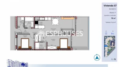 Apartment in Guardamar del Segura photo 30