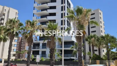 Apartment in Guardamar del Segura photo 34