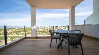 Villa in Algorfa photo 48