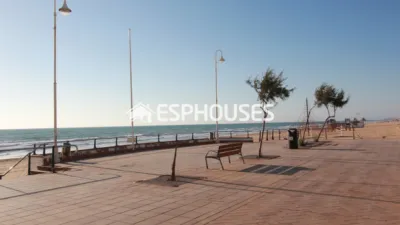 Penthouse in Guardamar del Segura photo 30