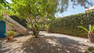 House in Capdepera photo 23