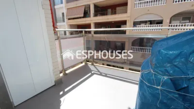 Apartment in Guardamar del Segura photo 5