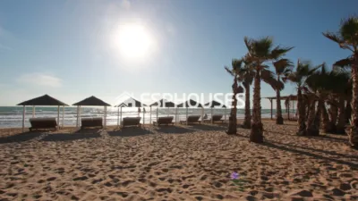 Apartment in Guardamar del Segura photo 22