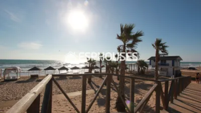 Apartment in Guardamar del Segura photo 27