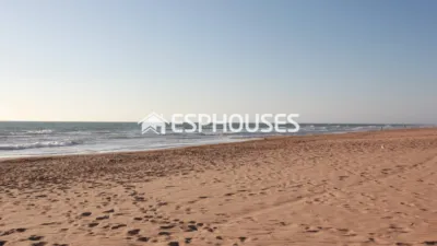 Apartment in Guardamar del Segura photo 28