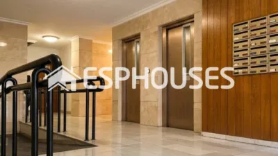 Apartment in Elx - Elche photo 2