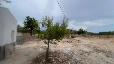 House in La Solana photo 17