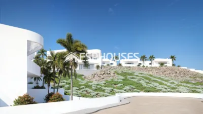 House in Algorfa photo 8