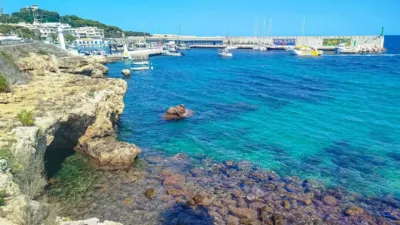 Apartment in Cala Ratjada photo 19